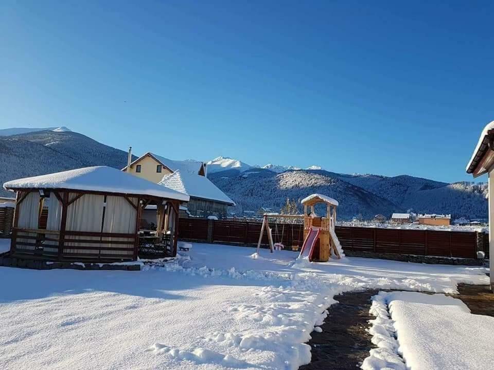 Pensiunea Sophia Statiunea Climaterica Sambata Bagian luar foto
